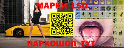 амф Владимир